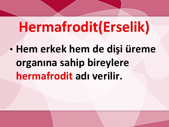 Hermafrodit(Erselik) • Hem erkek hem de dişi üreme organına sahip bireylere hermafrodit adı verilir.
