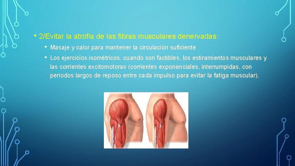  • 2/Evitar la atrofia de las fibras musculares denervadas: • • Masaje y