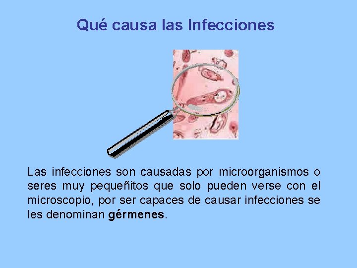 Qué causa las Infecciones Las infecciones son causadas por microorganismos o seres muy pequeñitos