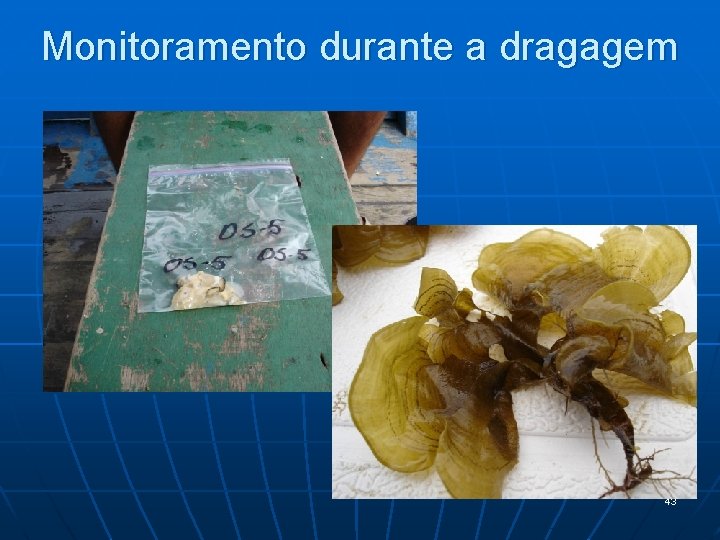 Monitoramento durante a dragagem 43 