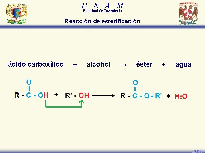 U N A M Facultad de Ingeniería Reacción de esterificación ácido carboxílico + alcohol