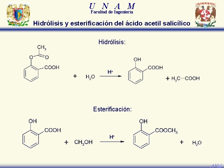 U N A M Facultad de Ingeniería Hidrólisis y esterificación del ácido acetil salicílico