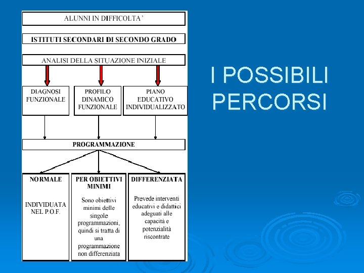 I POSSIBILI PERCORSI 