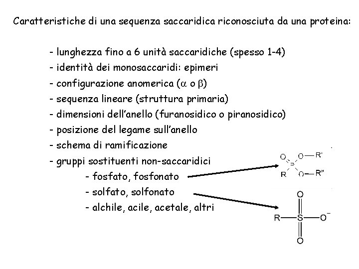 Caratteristiche di una sequenza saccaridica riconosciuta da una proteina: - lunghezza fino a 6