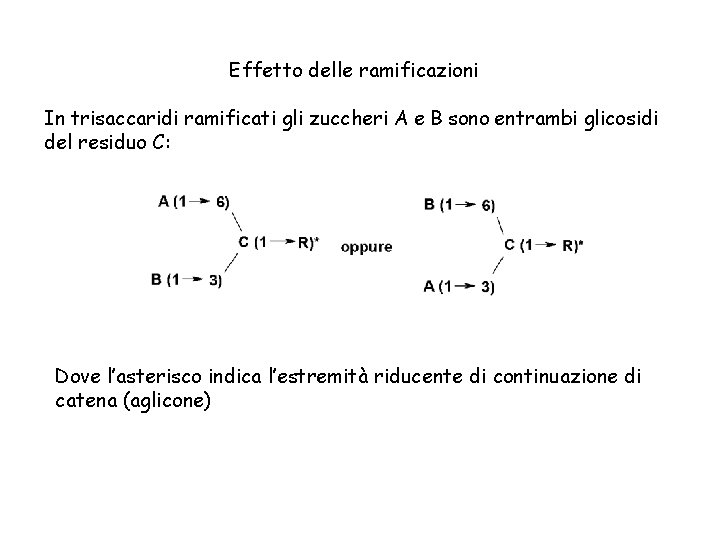 Effetto delle ramificazioni In trisaccaridi ramificati gli zuccheri A e B sono entrambi glicosidi