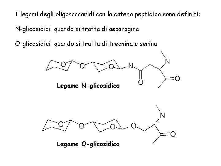 I legami degli oligosaccaridi con la catena peptidica sono definiti: N-glicosidici quando si tratta