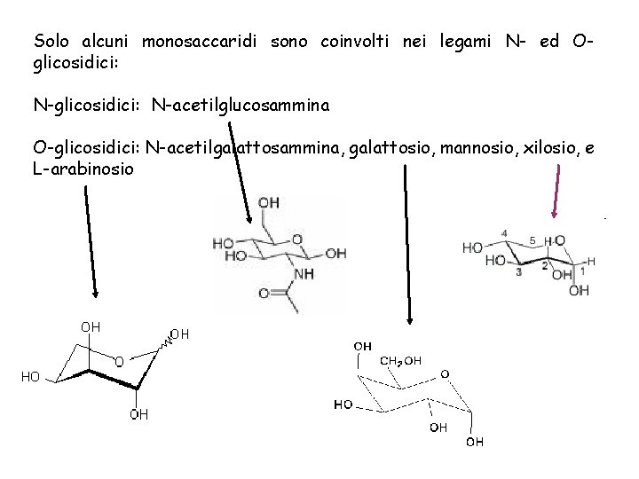 Solo alcuni monosaccaridi sono coinvolti nei legami N- ed Oglicosidici: N-acetilglucosammina O-glicosidici: N-acetilgalattosammina, galattosio,