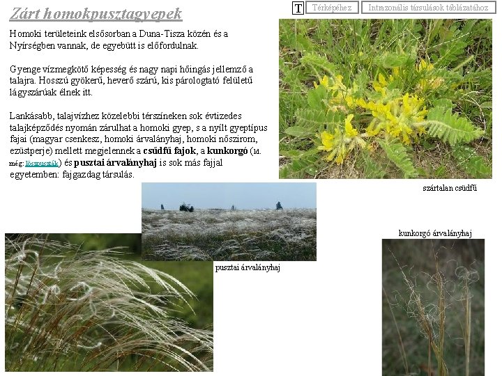 T Zárt homokpusztagyepek Térképéhez Intrazonális társulások táblázatához Homoki területeink elsősorban a Duna-Tisza közén és T Zárt homokpusztagyepek Térképéhez Intrazonális társulások táblázatához Homoki területeink elsősorban a Duna-Tisza közén és