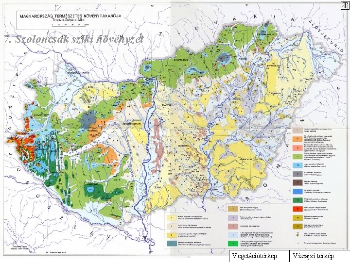 T 7. Szoloncsák sziki növényzet Vegetációtérkép Vízrajzi térkép 