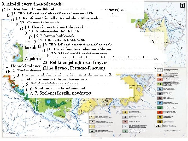 9. Alföldi gyertyános-tölgyesek 8. Ártéri ligeterdők 10. Rétlápok láperdőkkel (Querco-robori-Carpinetum, a Kisalföldi déli (főképp