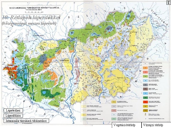 T 10. Rétlápok láperdőkkel (középeurópai meszes láprétek) Láprétekhez Láperdőkhöz Intrazonális társulások táblázatához Vegetációtérkép Vízrajzi