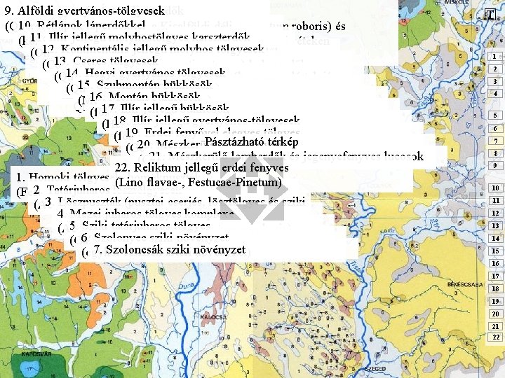 9. Alföldi gyertyános-tölgyesek 8. Ártéri ligeterdők 10. Rétlápok láperdőkkel (Querco-robori-Carpinetum, a Kisalföldi déli (főképp