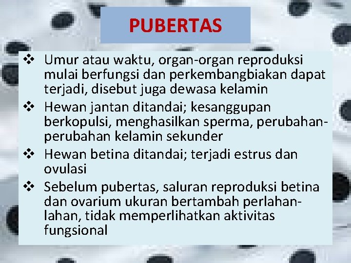 PUBERTAS v Umur atau waktu, organ-organ reproduksi mulai berfungsi dan perkembangbiakan dapat terjadi, disebut