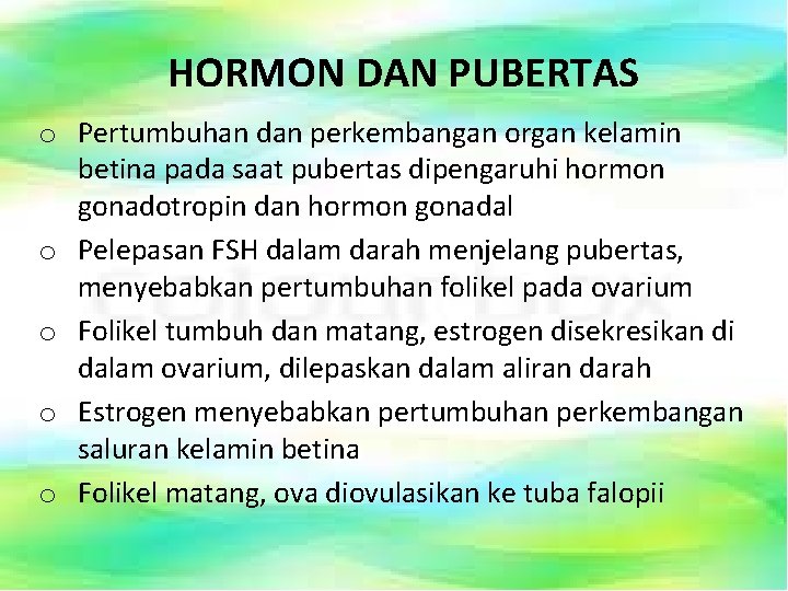 HORMON DAN PUBERTAS o Pertumbuhan dan perkembangan organ kelamin betina pada saat pubertas dipengaruhi