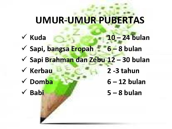 UMUR-UMUR PUBERTAS ü ü ü Kuda 10 – 24 bulan Sapi, bangsa Eropah 6