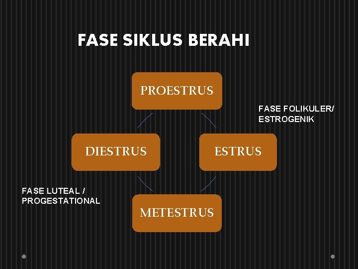 FASE SIKLUS BERAHI PROESTRUS FASE FOLIKULER/ ESTROGENIK DIESTRUS FASE LUTEAL / PROGESTATIONAL METESTRUS 