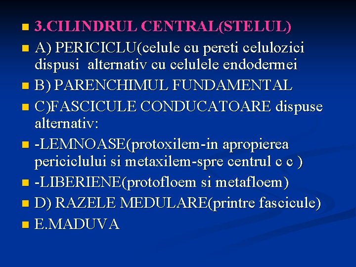 3. CILINDRUL CENTRAL(STELUL) n A) PERICICLU(celule cu pereti celulozici dispusi alternativ cu celulele endodermei