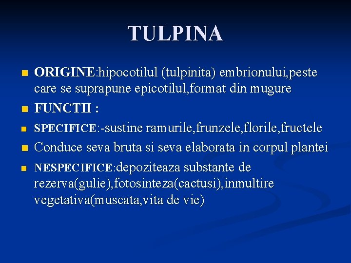 TULPINA n n n ORIGINE: hipocotilul (tulpinita) embrionului, peste care se suprapune epicotilul, format