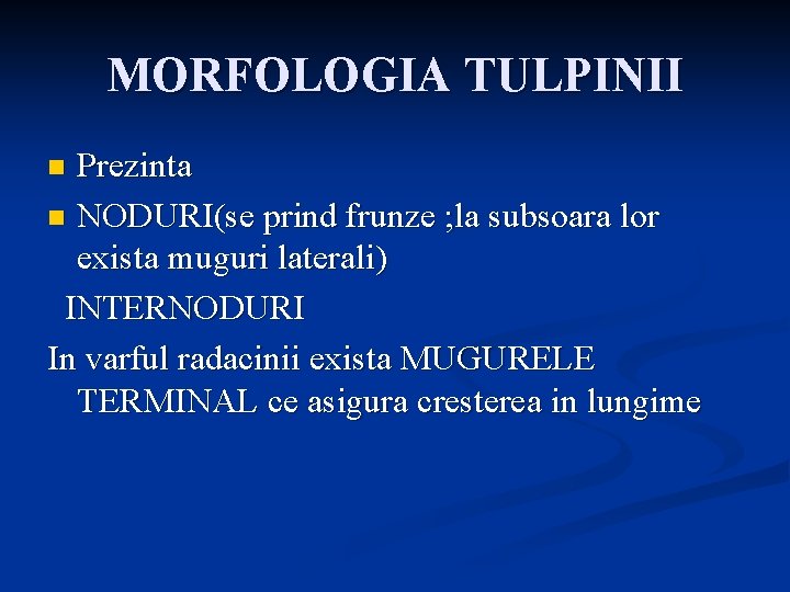 MORFOLOGIA TULPINII Prezinta n NODURI(se prind frunze ; la subsoara lor exista muguri laterali)