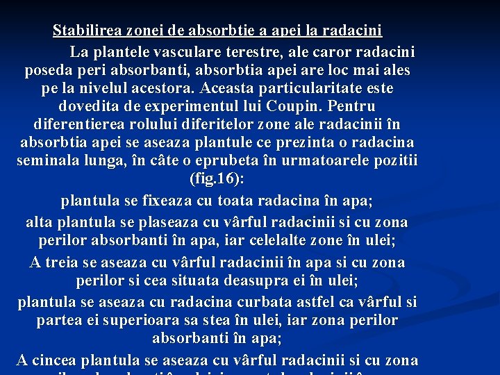 Stabilirea zonei de absorbtie a apei la radacini La plantele vasculare terestre, ale caror