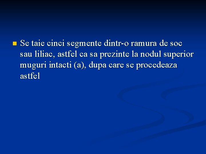 n Se taie cinci segmente dintr-o ramura de soc sau liliac, astfel ca sa