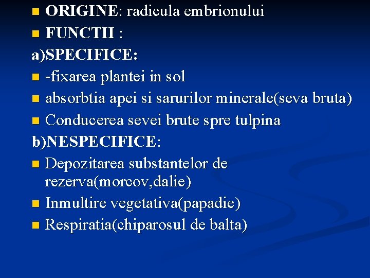 ORIGINE: radicula embrionului n FUNCTII : a)SPECIFICE: n -fixarea plantei in sol n absorbtia