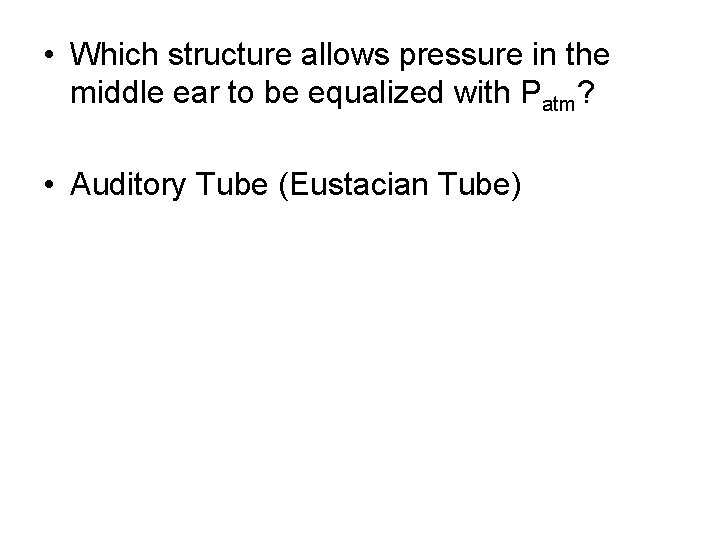  • Which structure allows pressure in the middle ear to be equalized with