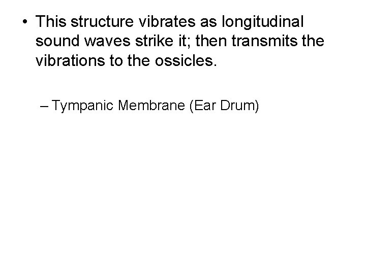  • This structure vibrates as longitudinal sound waves strike it; then transmits the