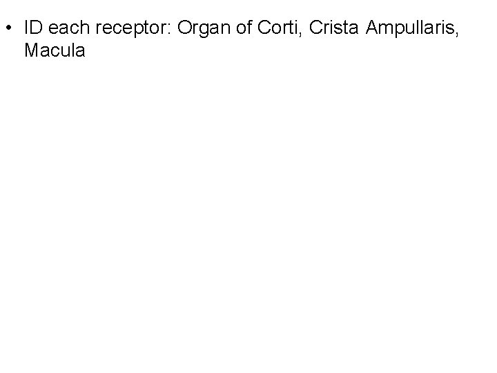  • ID each receptor: Organ of Corti, Crista Ampullaris, Macula 