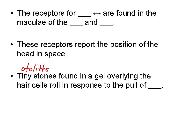  • The receptors for ___ ↔ are found in the maculae of the