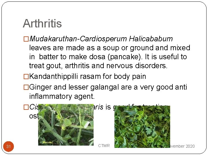 Arthritis �Mudakaruthan-Cardiosperum Halicababum leaves are made as a soup or ground and mixed in