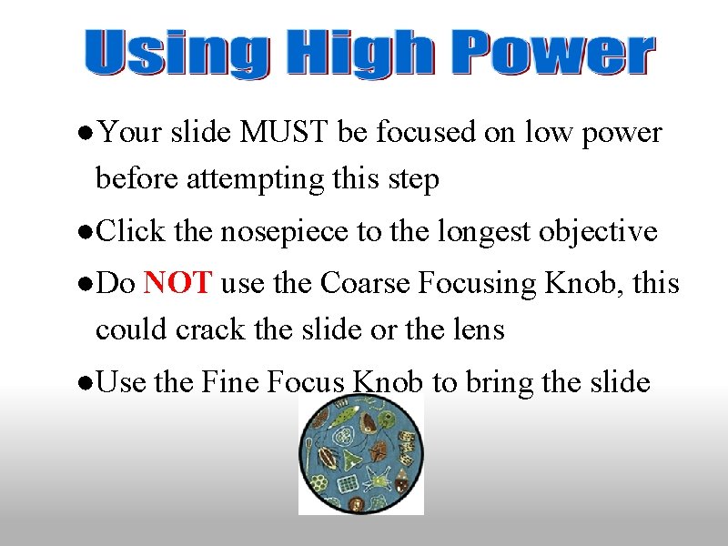●Your slide MUST be focused on low power before attempting this step ●Click the ●Your slide MUST be focused on low power before attempting this step ●Click the