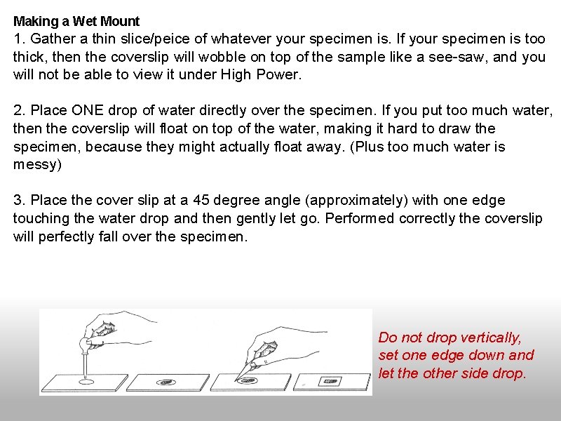 Making a Wet Mount 1. Gather a thin slice/peice of whatever your specimen is. Making a Wet Mount 1. Gather a thin slice/peice of whatever your specimen is.