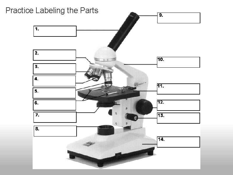 Practice Labeling the Parts Practice Labeling the Parts