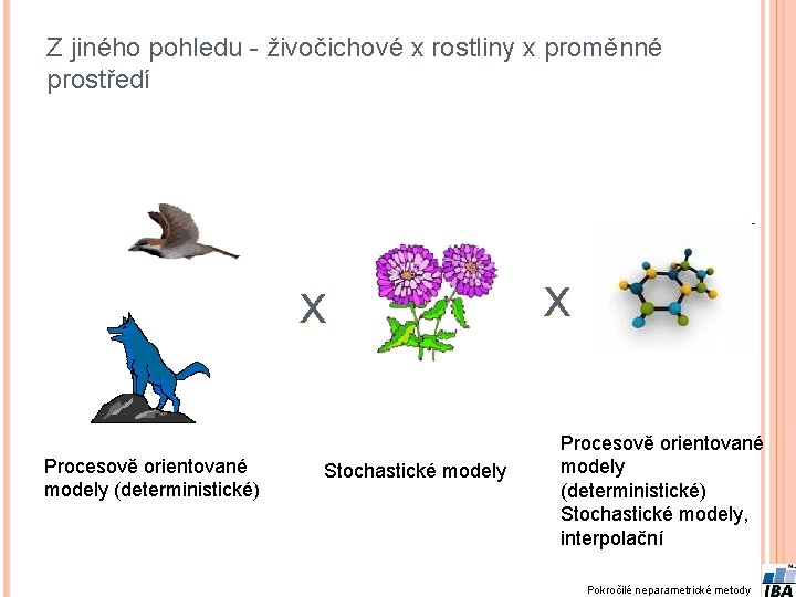 Z jiného pohledu - živočichové x rostliny x proměnné prostředí x Procesově orientované modely