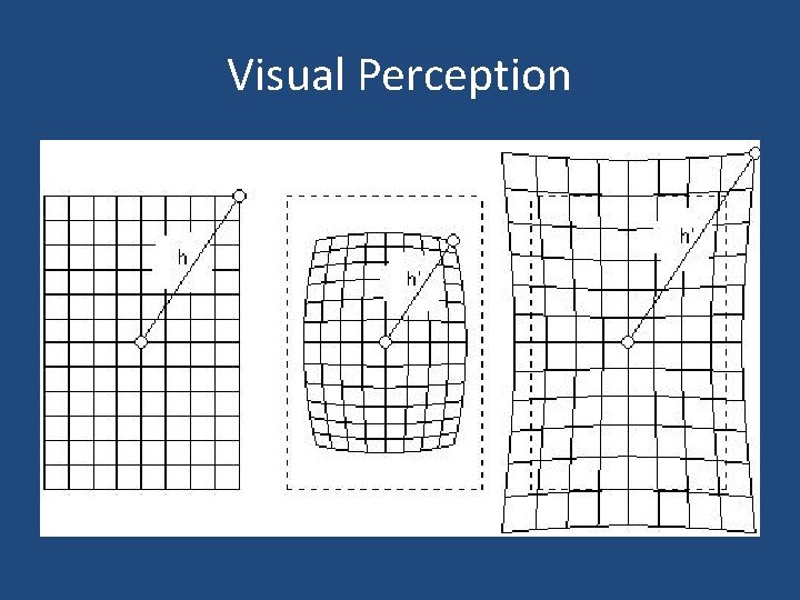 Visual Perception Visual Perception