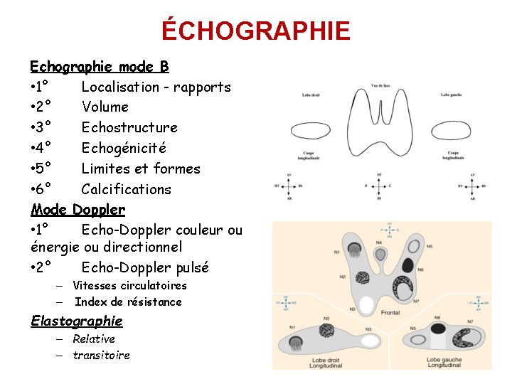 ÉCHOGRAPHIE Echographie mode B • 1° Localisation - rapports • 2° Volume • 3°
