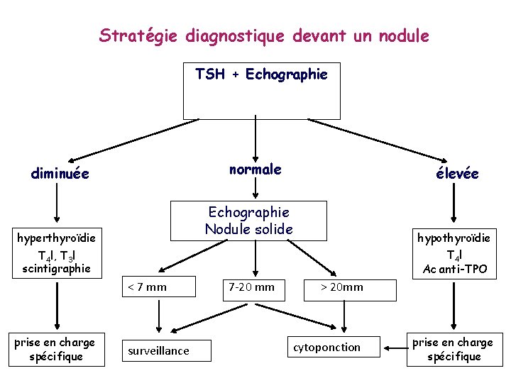 Stratégie diagnostique devant un nodule TSH + Echographie normale diminuée élevée Echographie Nodule solide
