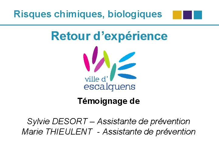 Risques chimiques, biologiques Retour d’expérience Témoignage de Sylvie DESORT – Assistante de prévention Marie