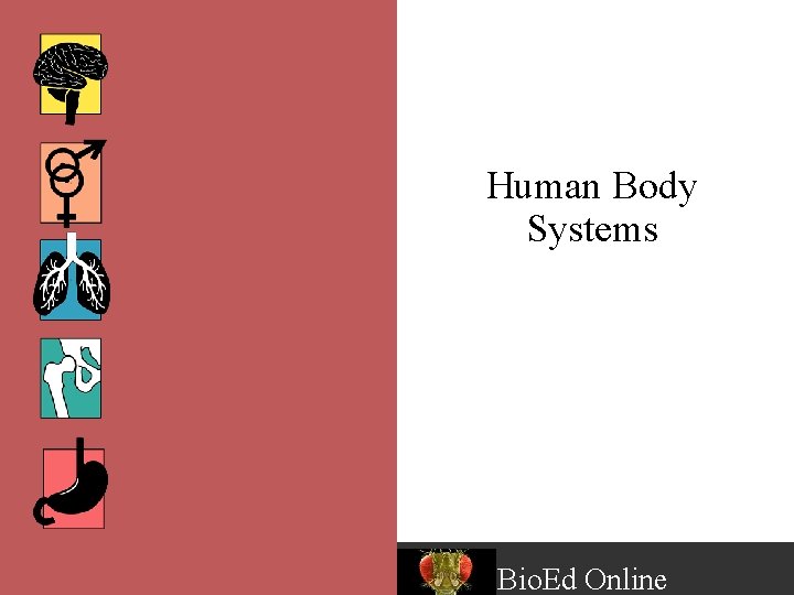 Human Body Systems Bio. Ed Online 
