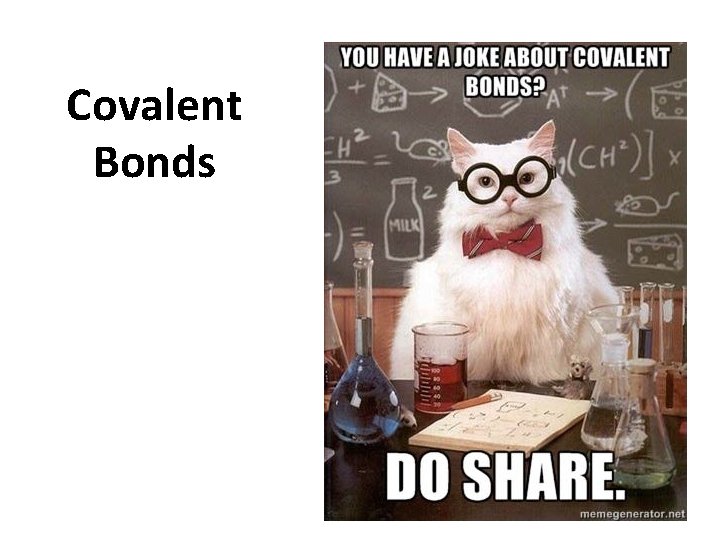 Covalent Bonds 