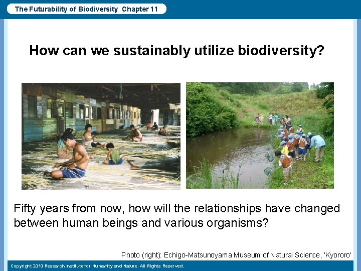 The Futurability of Biodiversity Chapter 11 How can we sustainably utilize biodiversity? Fifty years