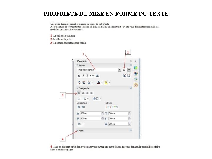 PROPRIETE DE MISE EN FORME DU TEXTE 