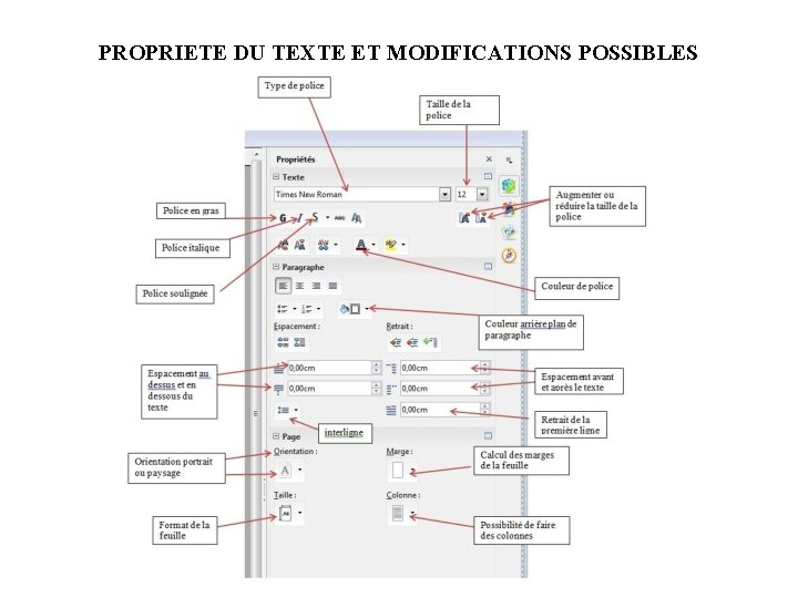 PROPRIETE DU TEXTE ET MODIFICATIONS POSSIBLES 