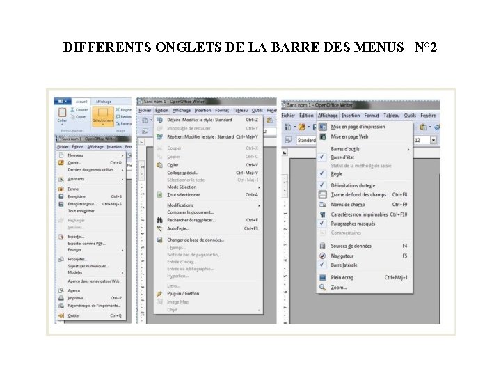 DIFFERENTS ONGLETS DE LA BARRE DES MENUS N° 2 