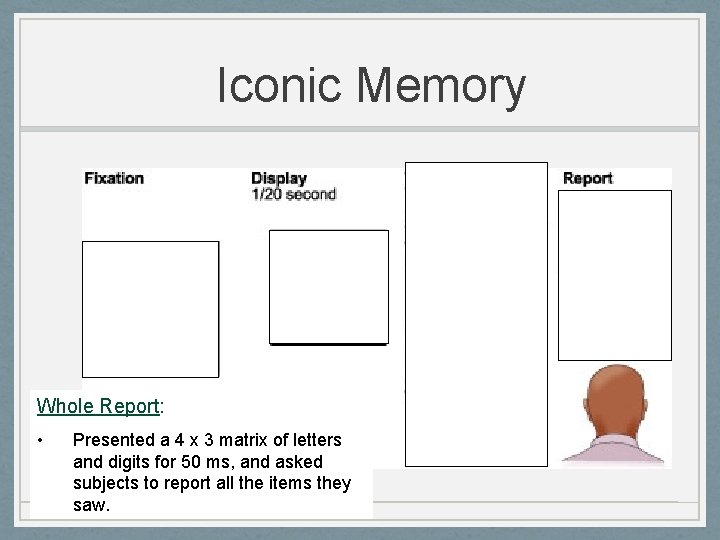 Iconic Memory 50 msec Whole Report: • Presented a 4 x 3 matrix of