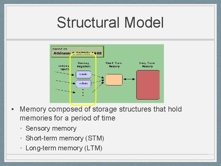 Structural Model • Memory composed of storage structures that hold memories for a period