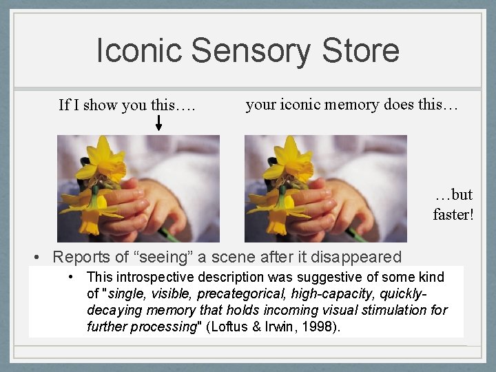 Iconic Sensory Store If I show you this…. your iconic memory does this… …but