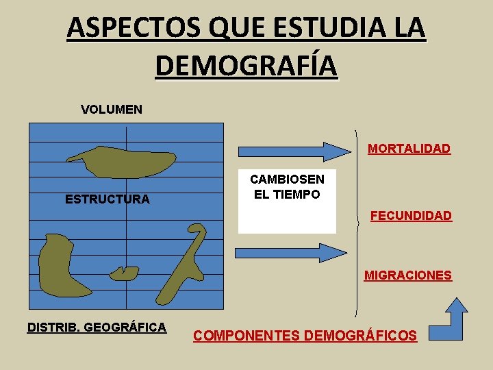 ASPECTOS QUE ESTUDIA LA DEMOGRAFÍA VOLUMEN MORTALIDAD ESTRUCTURA CAMBIOSEN EL TIEMPO FECUNDIDAD MIGRACIONES DISTRIB.