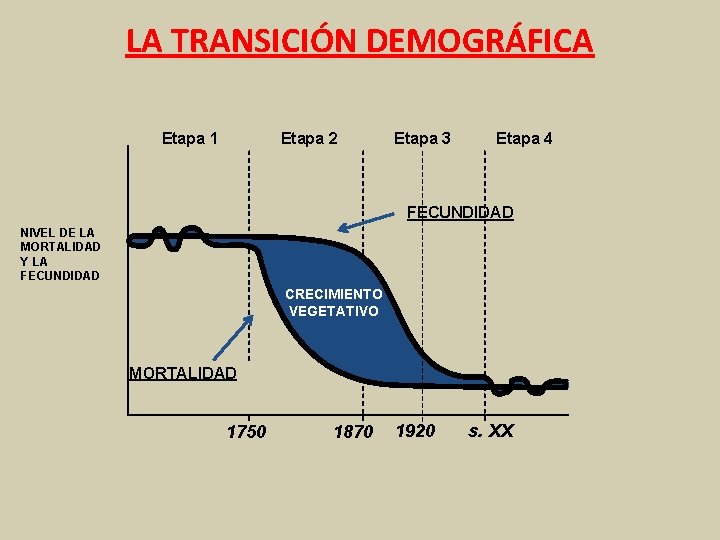 LA TRANSICIÓN DEMOGRÁFICA Etapa 1 Etapa 2 Etapa 3 Etapa 4 FECUNDIDAD NIVEL DE